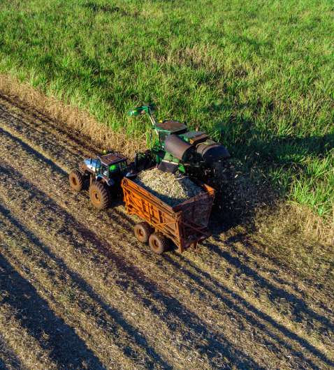 Vista aérea de un tractor en un campo de caña de azúcar utilizada para producir ensilado de caña para nutrición animal